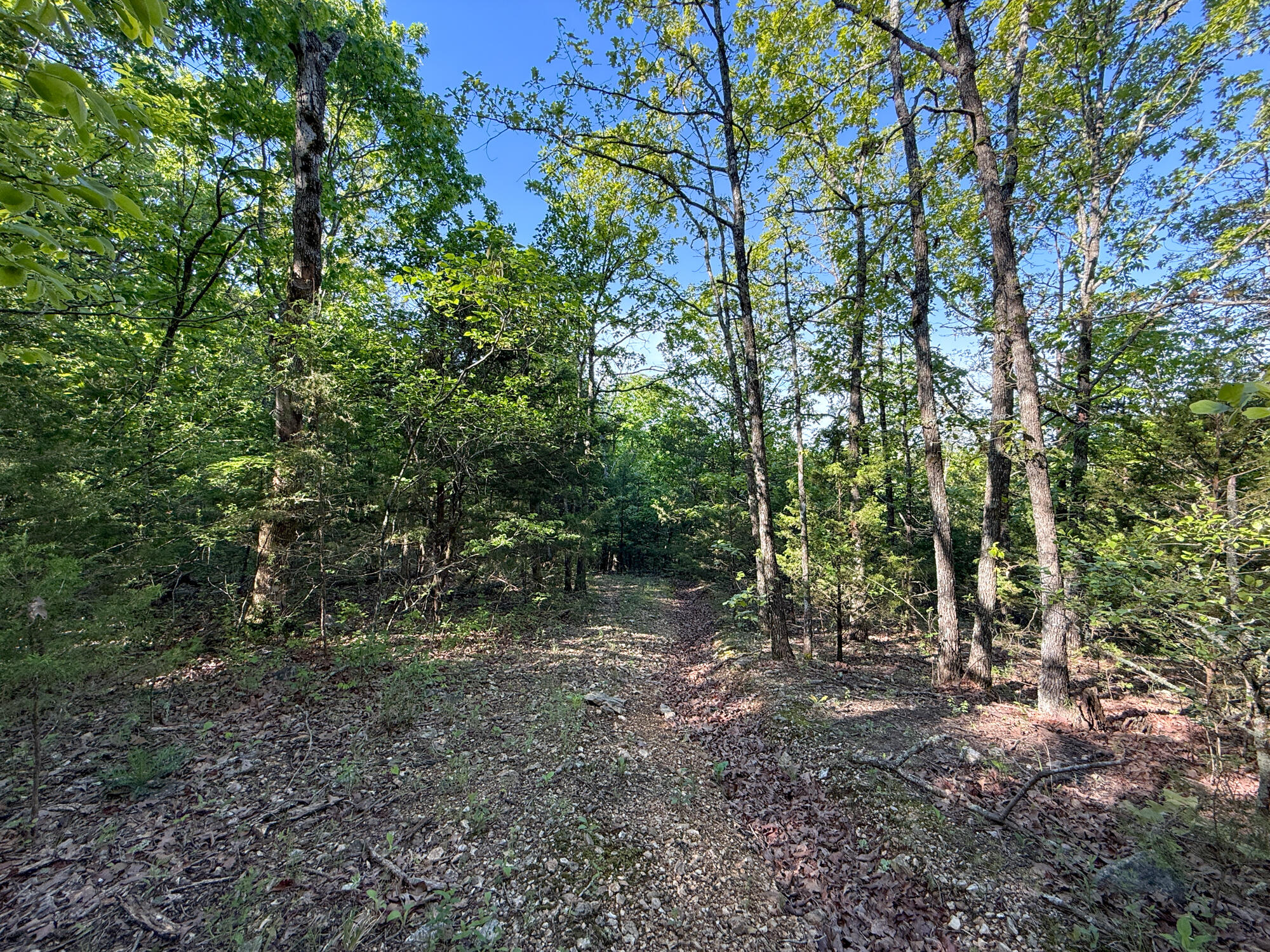 Photo 32 - Residential for sale – 13060  Highway Ee   Cabool, MO
