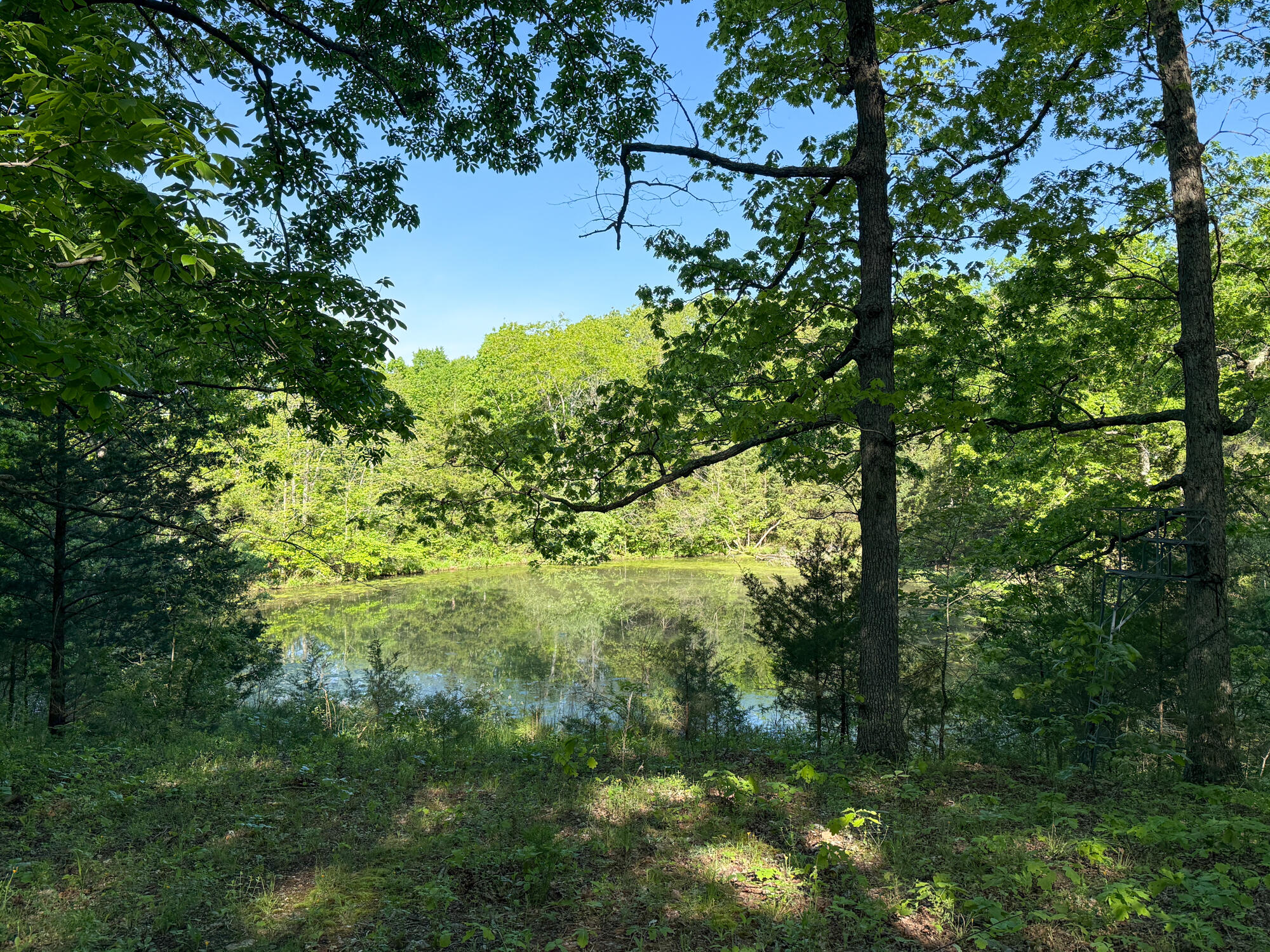 Photo 3 - Residential for sale – 13060  Highway Ee   Cabool, MO