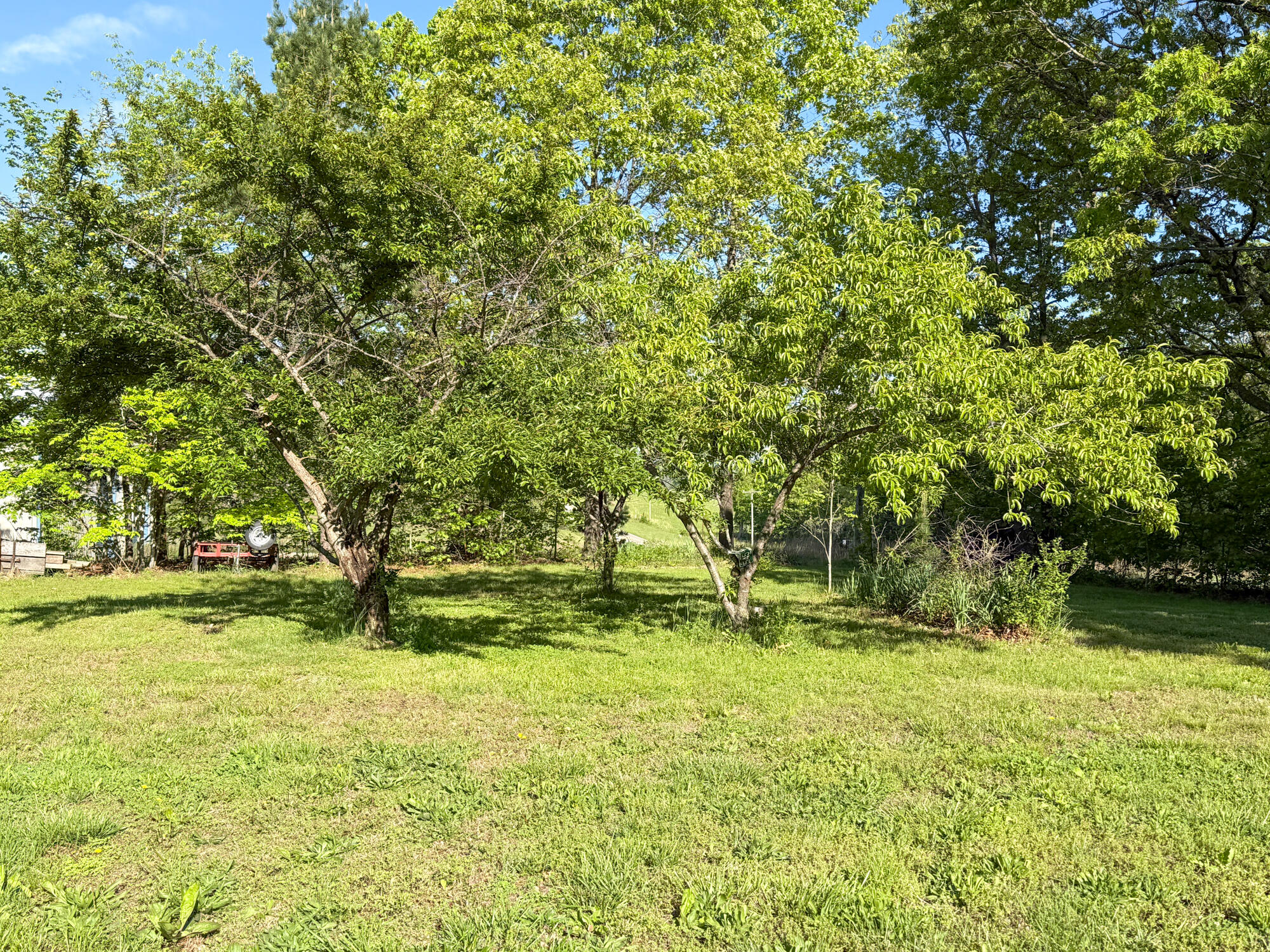 Photo 30 - Residential for sale – 13060  Highway Ee   Cabool, MO