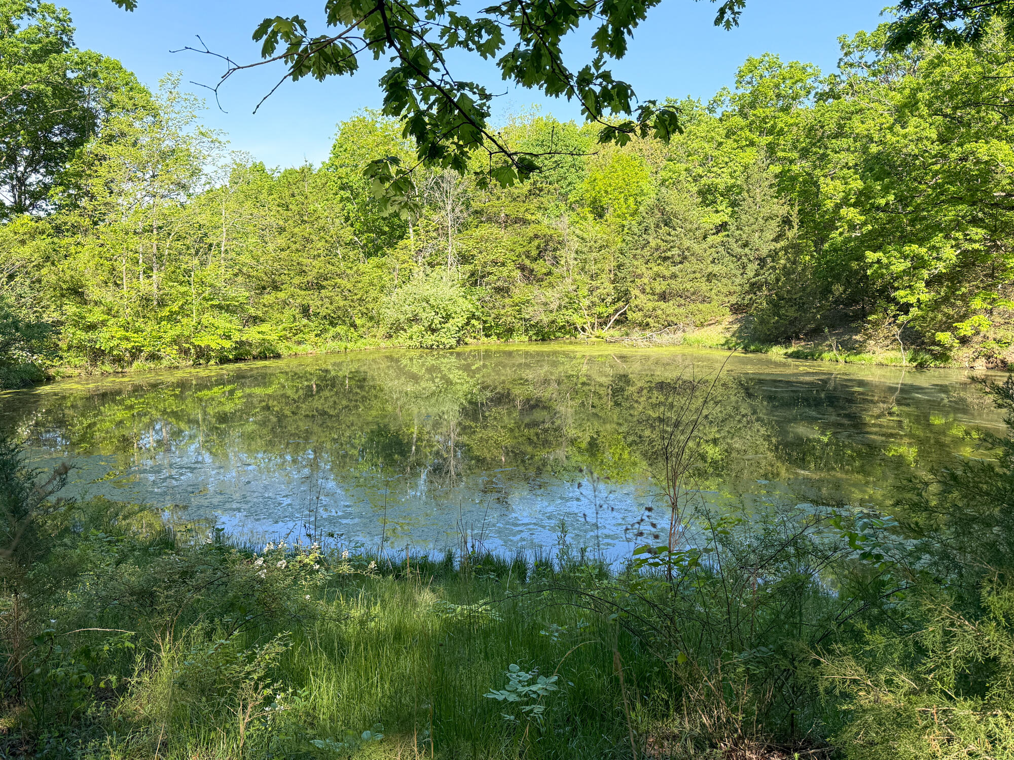 Photo 31 - Residential for sale – 13060  Highway Ee   Cabool, MO