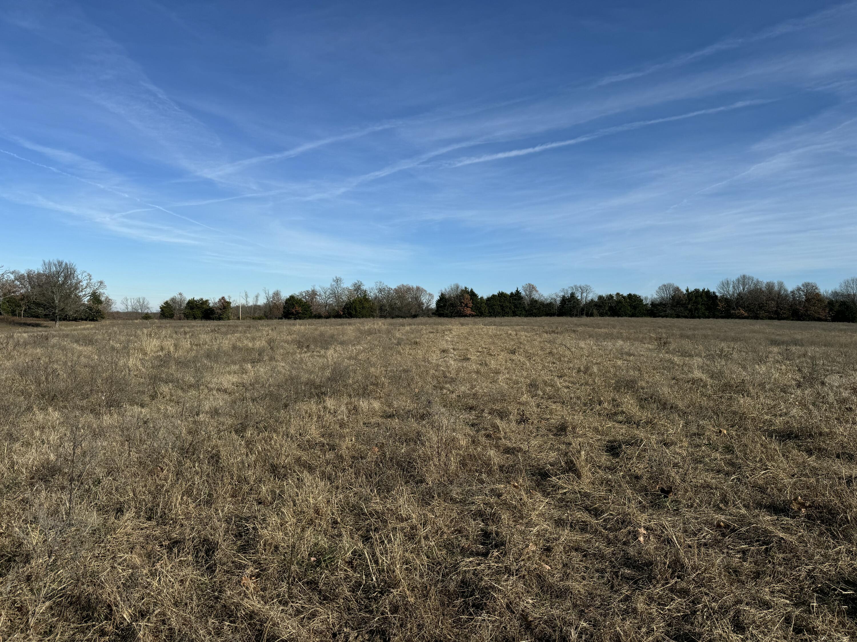 Photo 78 - Farm for sale – 10560  State Hwy Cc   Niangua, MO