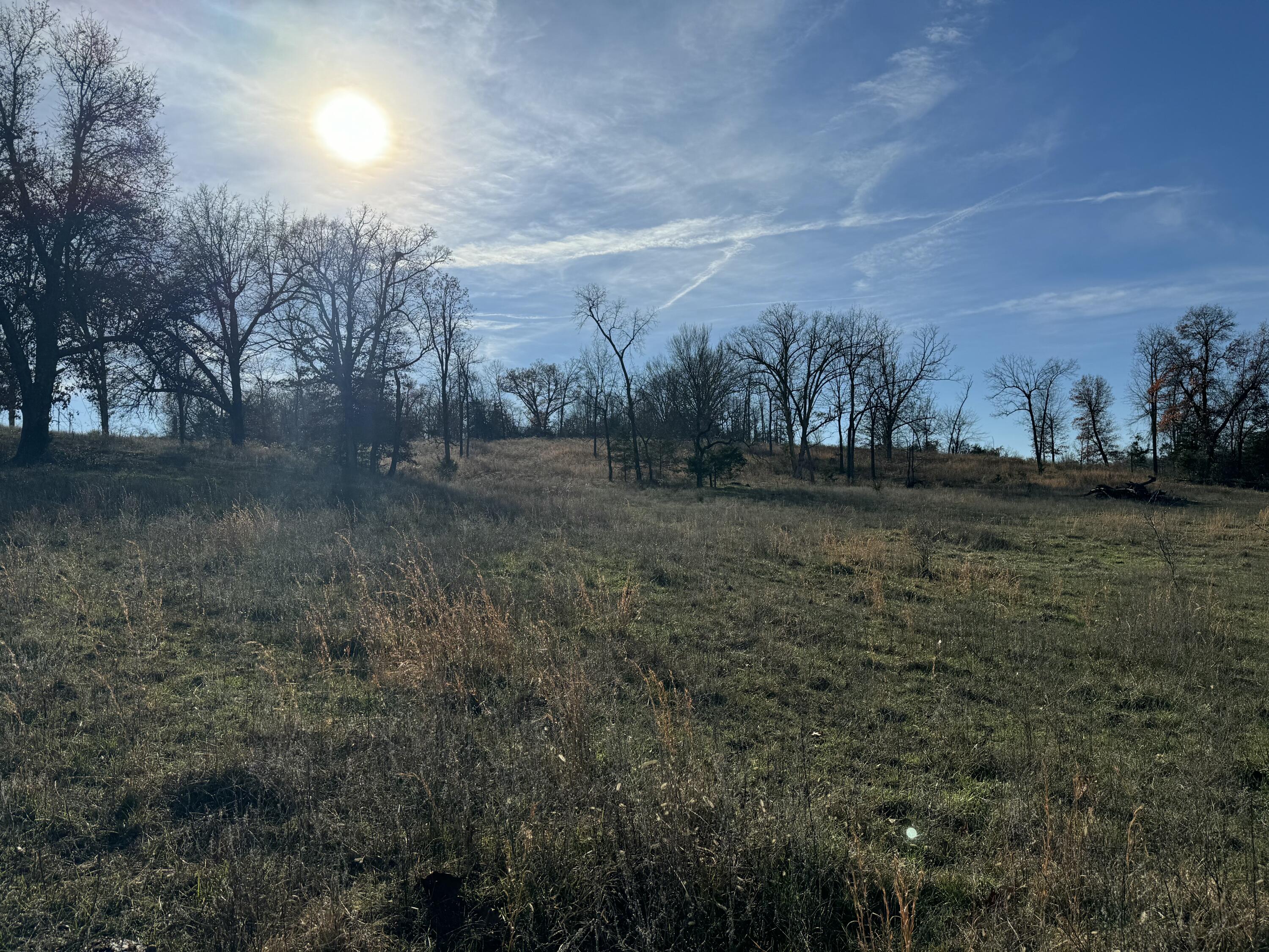Photo 66 - Farm for sale – 10560  State Hwy Cc   Niangua, MO