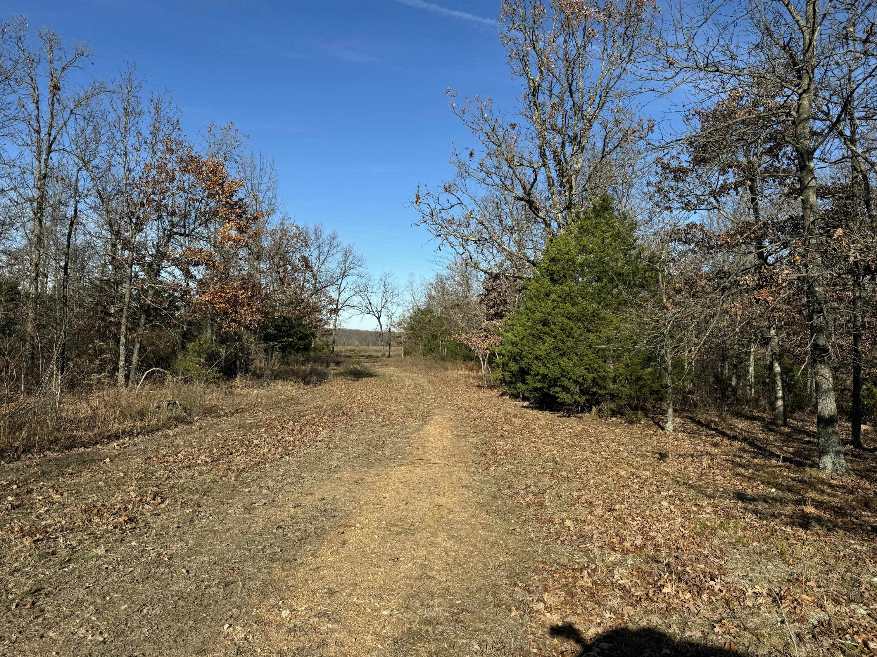 Photo 71 - Farm for sale – 10560  State Hwy Cc   Niangua, MO