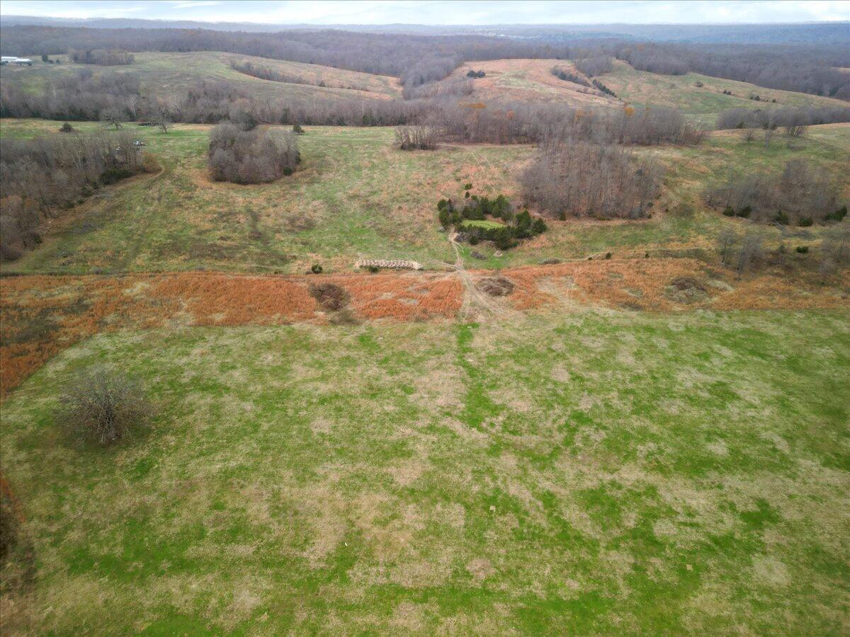 Photo 30 - Land for sale – 000  County Road 7040   Caulfield, MO