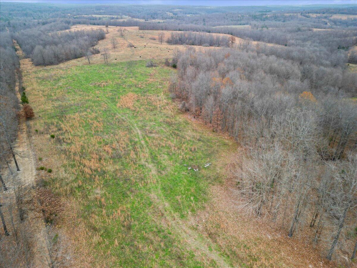Photo 15 - Land for sale – 000  County Road 7040   Caulfield, MO