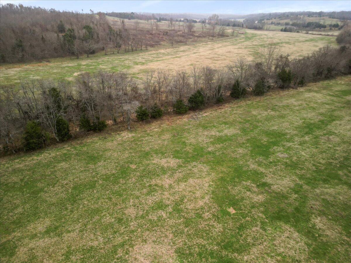 Photo 33 - Land for sale – 000  County Road 7040   Caulfield, MO
