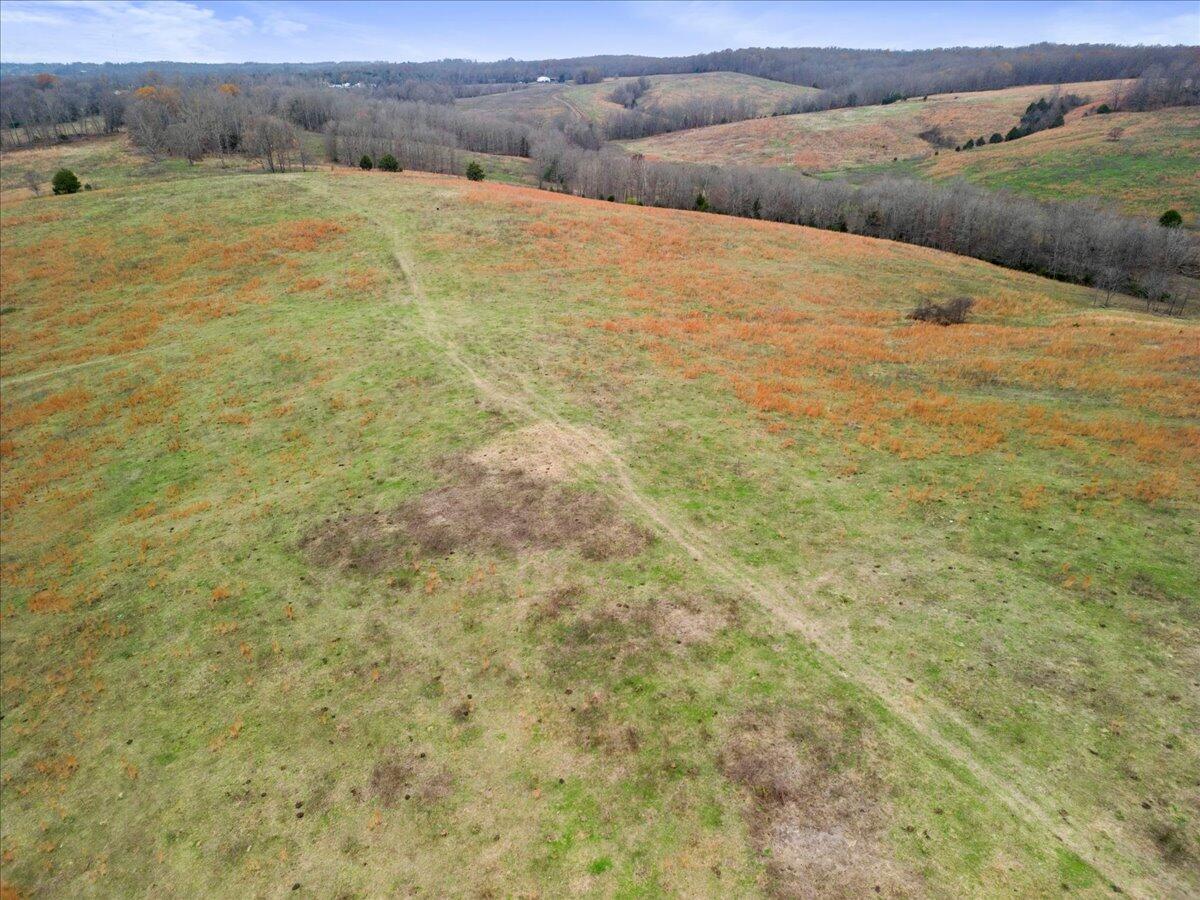 Photo 32 - Land for sale – 000  County Road 7040   Caulfield, MO