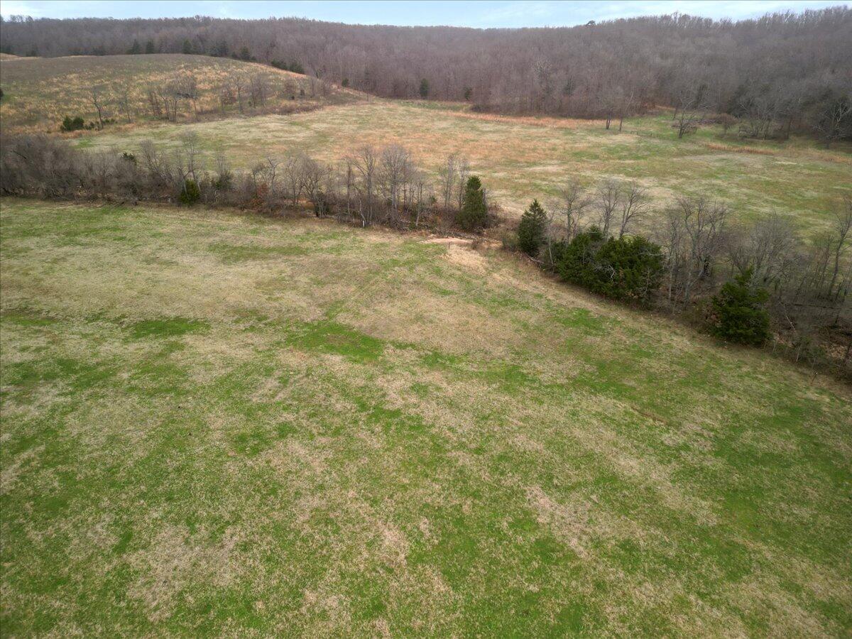Photo 22 - Land for sale – 000  County Road 7040   Caulfield, MO