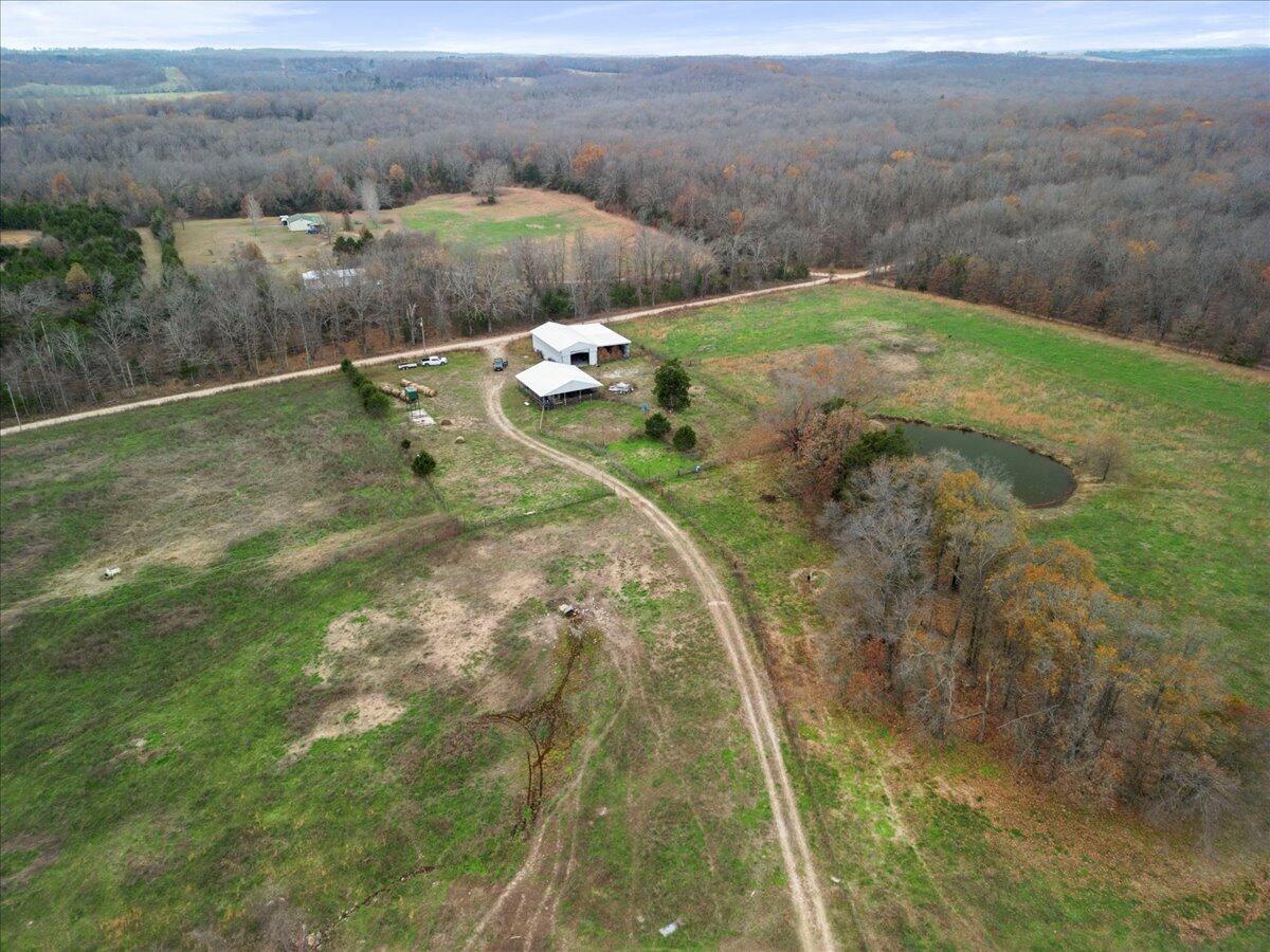Photo 5 - Land for sale – 000  County Road 7040   Caulfield, MO
