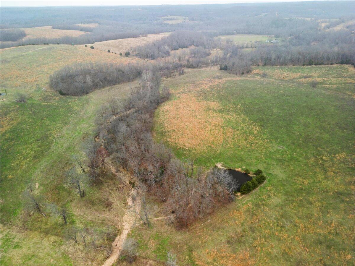 Photo 12 - Land for sale – 000  County Road 7040   Caulfield, MO