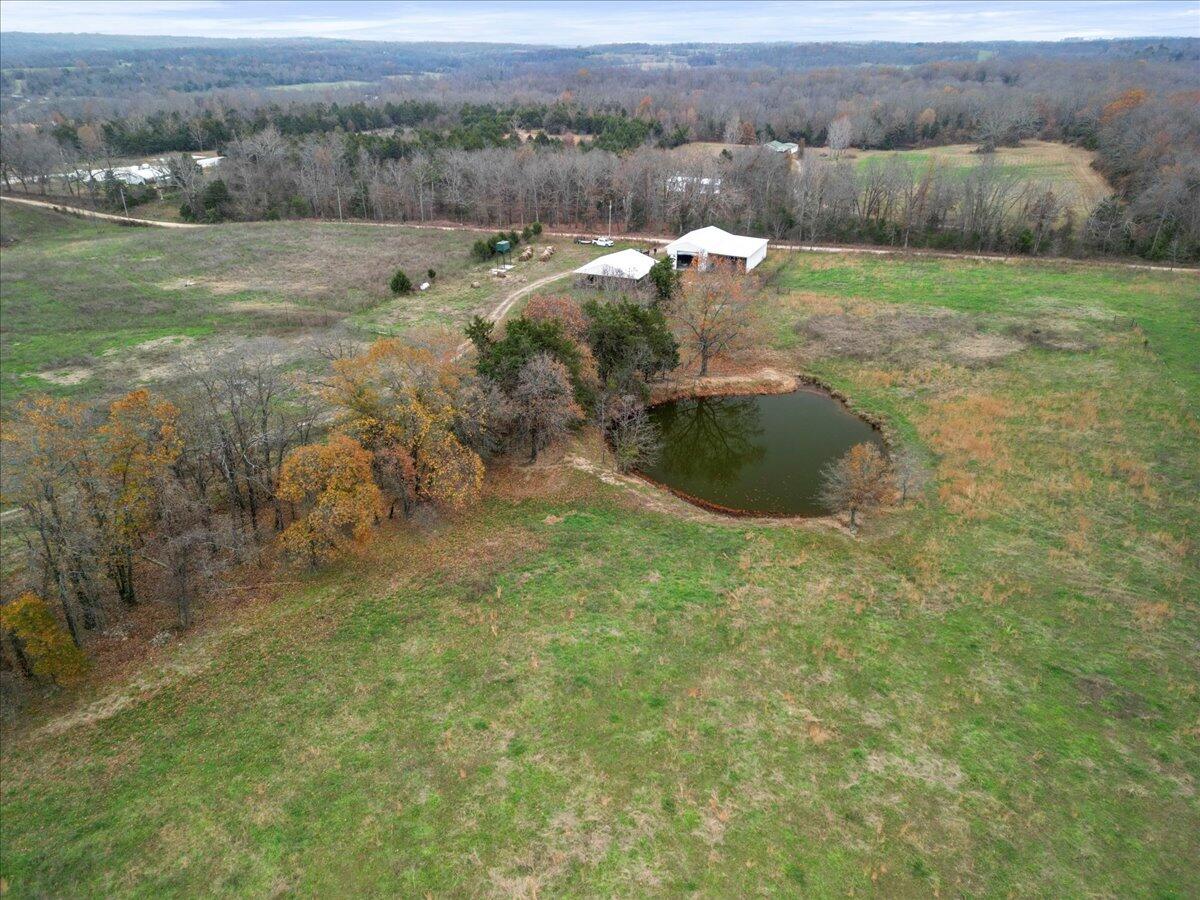 Photo 4 - Land for sale – 000  County Road 7040   Caulfield, MO