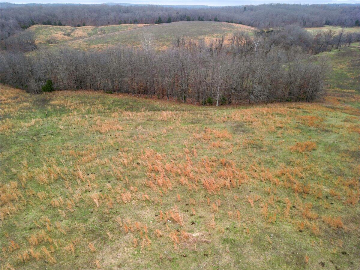 Photo 25 - Land for sale – 000  County Road 7040   Caulfield, MO