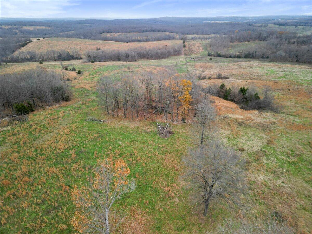 Photo 14 - Land for sale – 000  County Road 7040   Caulfield, MO