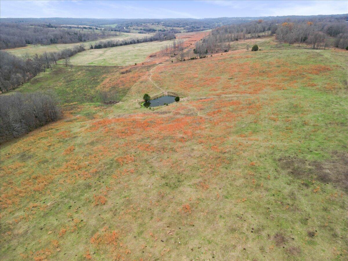 Photo 16 - Land for sale – 000  County Road 7040   Caulfield, MO