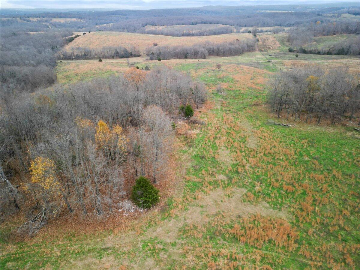 Photo 26 - Land for sale – 000  County Road 7040   Caulfield, MO