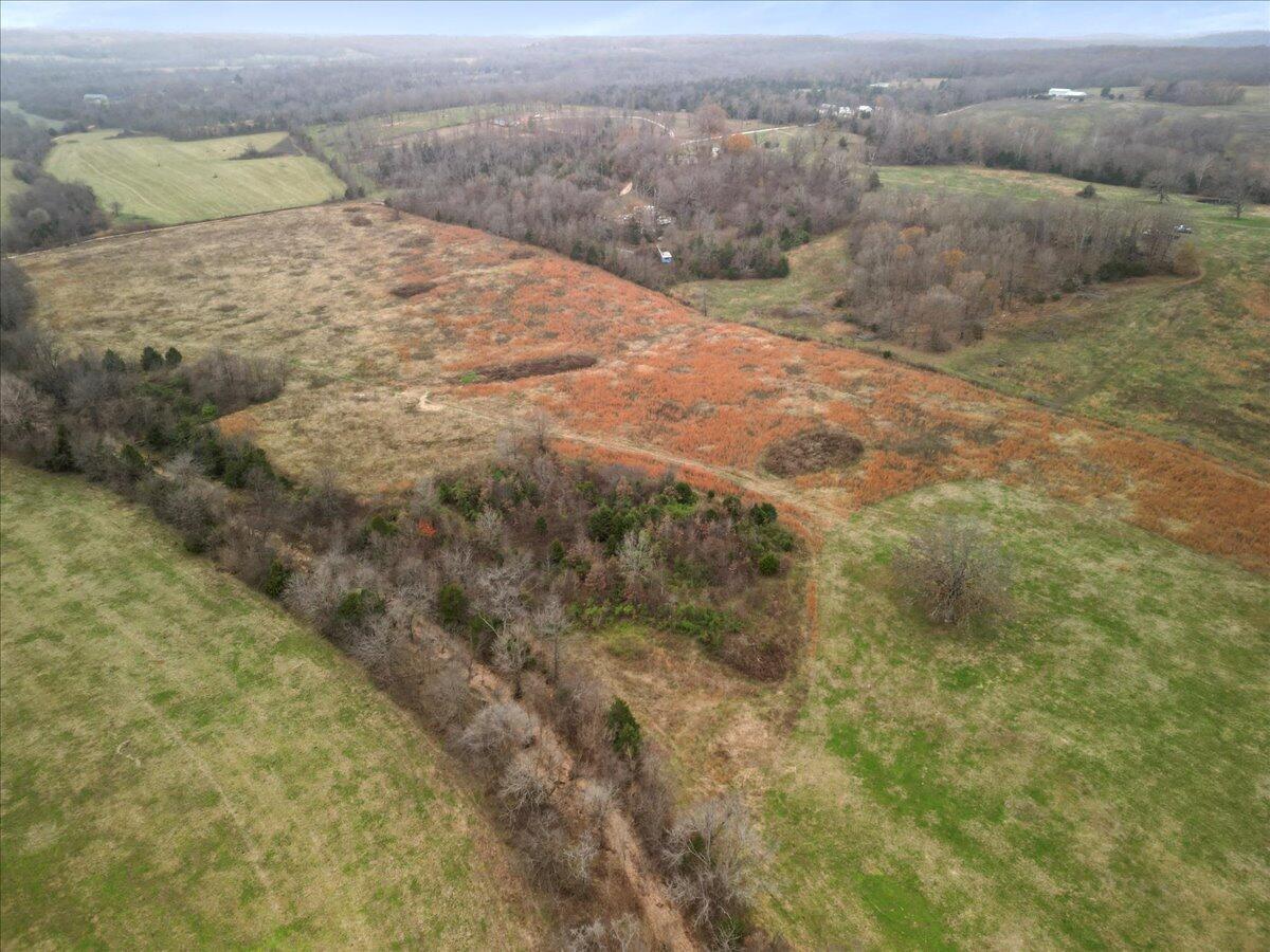 Photo 10 - Land for sale – 000  County Road 7040   Caulfield, MO