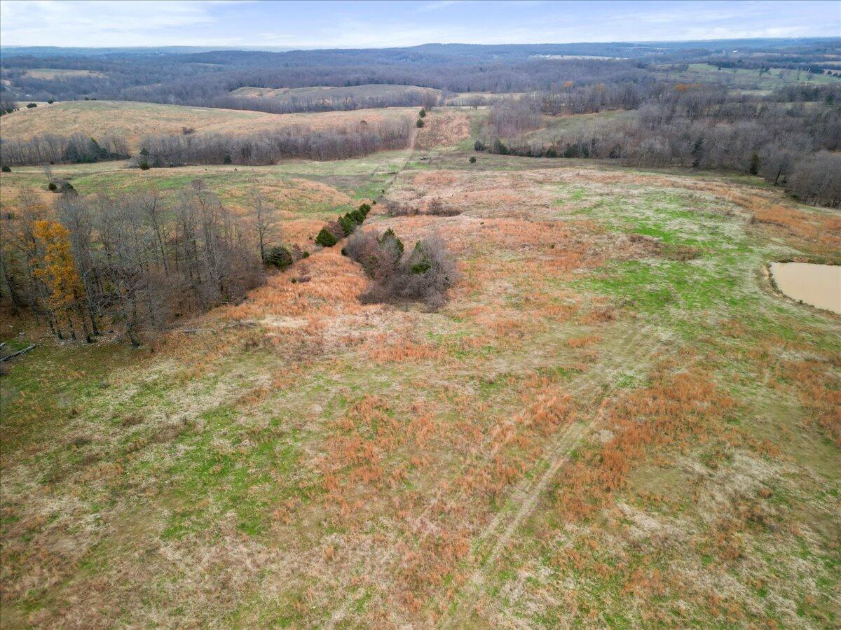 Photo 21 - Land for sale – 000  County Road 7040   Caulfield, MO