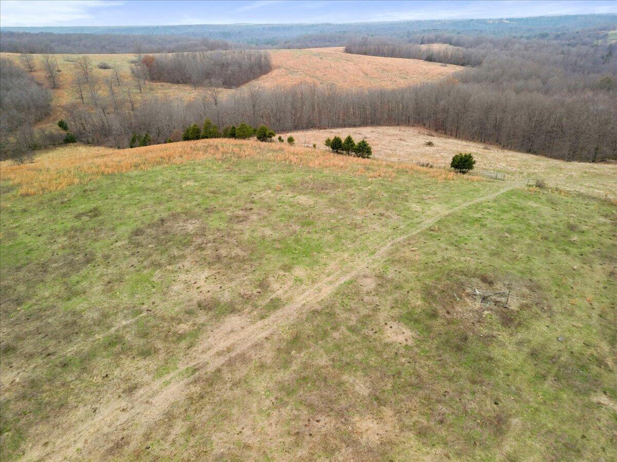 Photo 13 - Farm for sale – 000  County Road 7040   Caulfield, MO