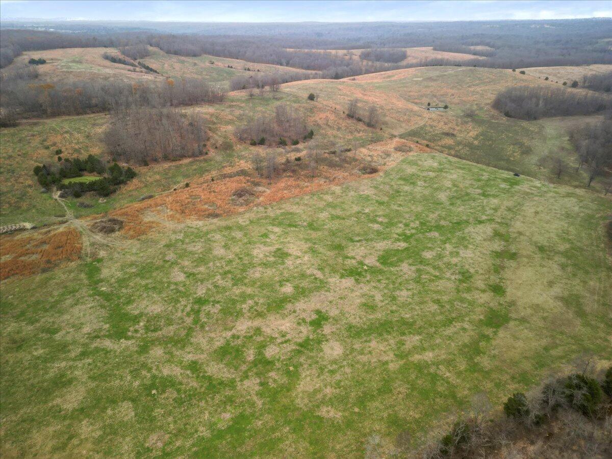 Photo 31 - Farm for sale – 000  County Road 7040   Caulfield, MO