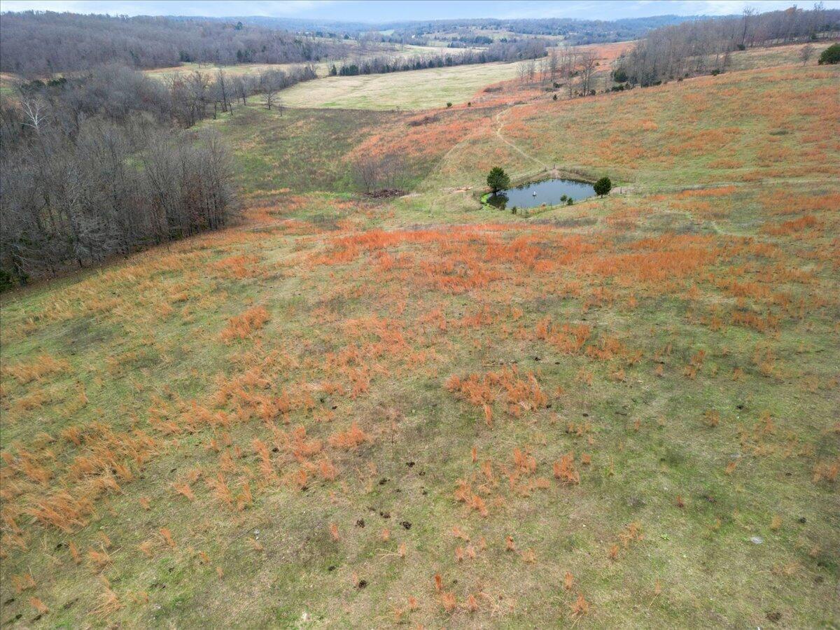 Photo 17 - Farm for sale – 000  County Road 7040   Caulfield, MO