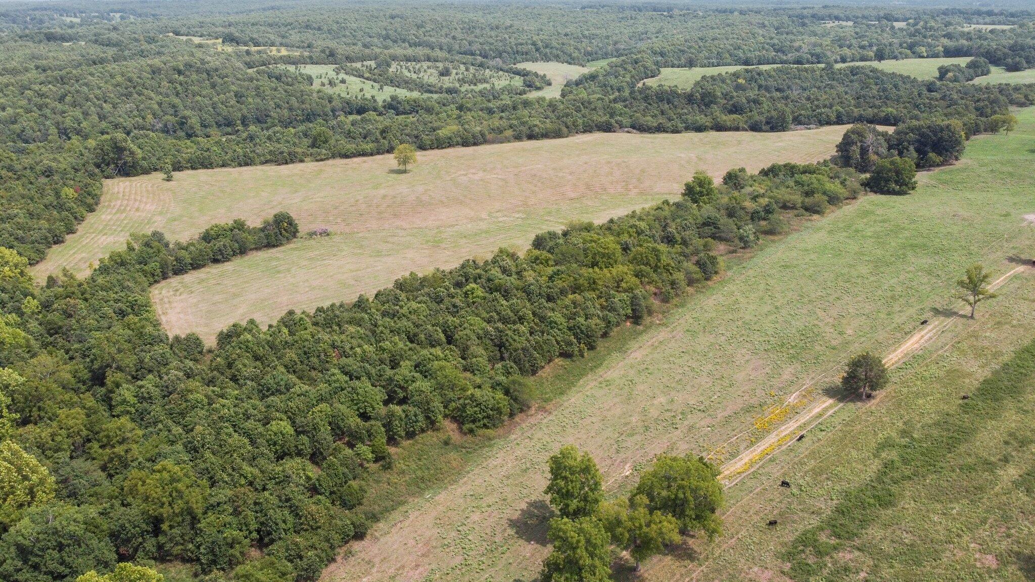 Photo 13 - Farm for sale – 000  State Highway Ff   Caulfield, MO