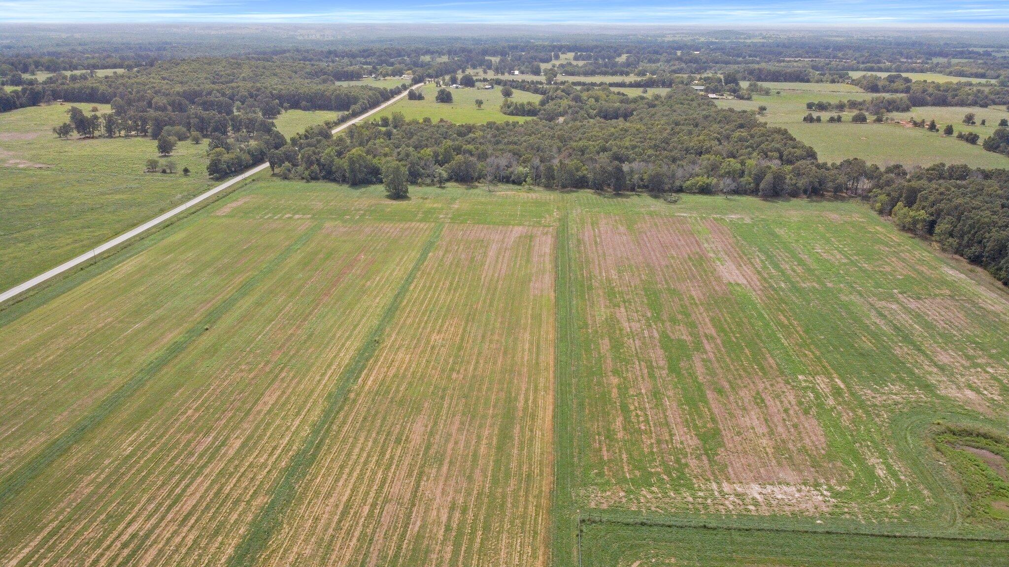 Photo 5 - Farm for sale – 000  State Highway Ff   Caulfield, MO