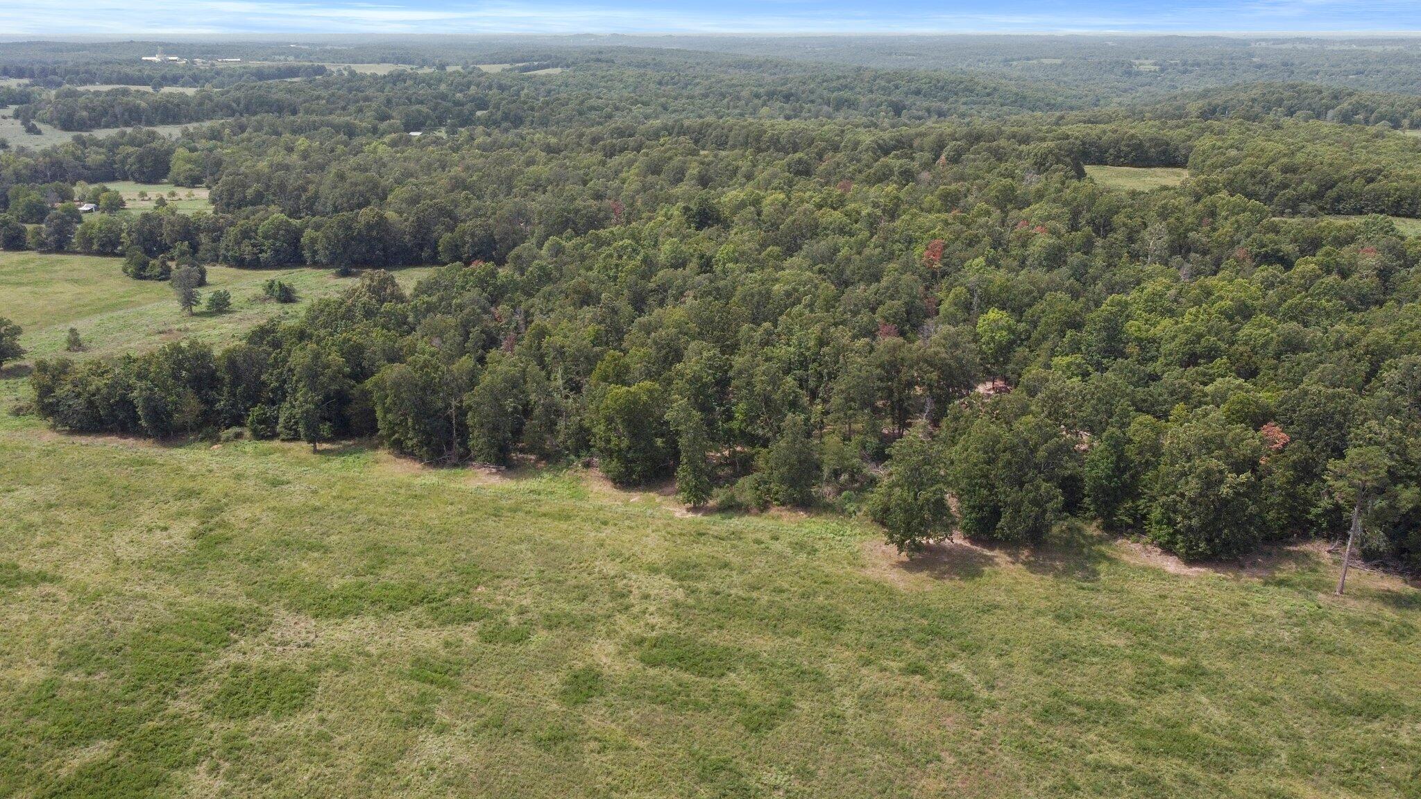 Photo 17 - Farm for sale – 000  State Highway Ff   Caulfield, MO