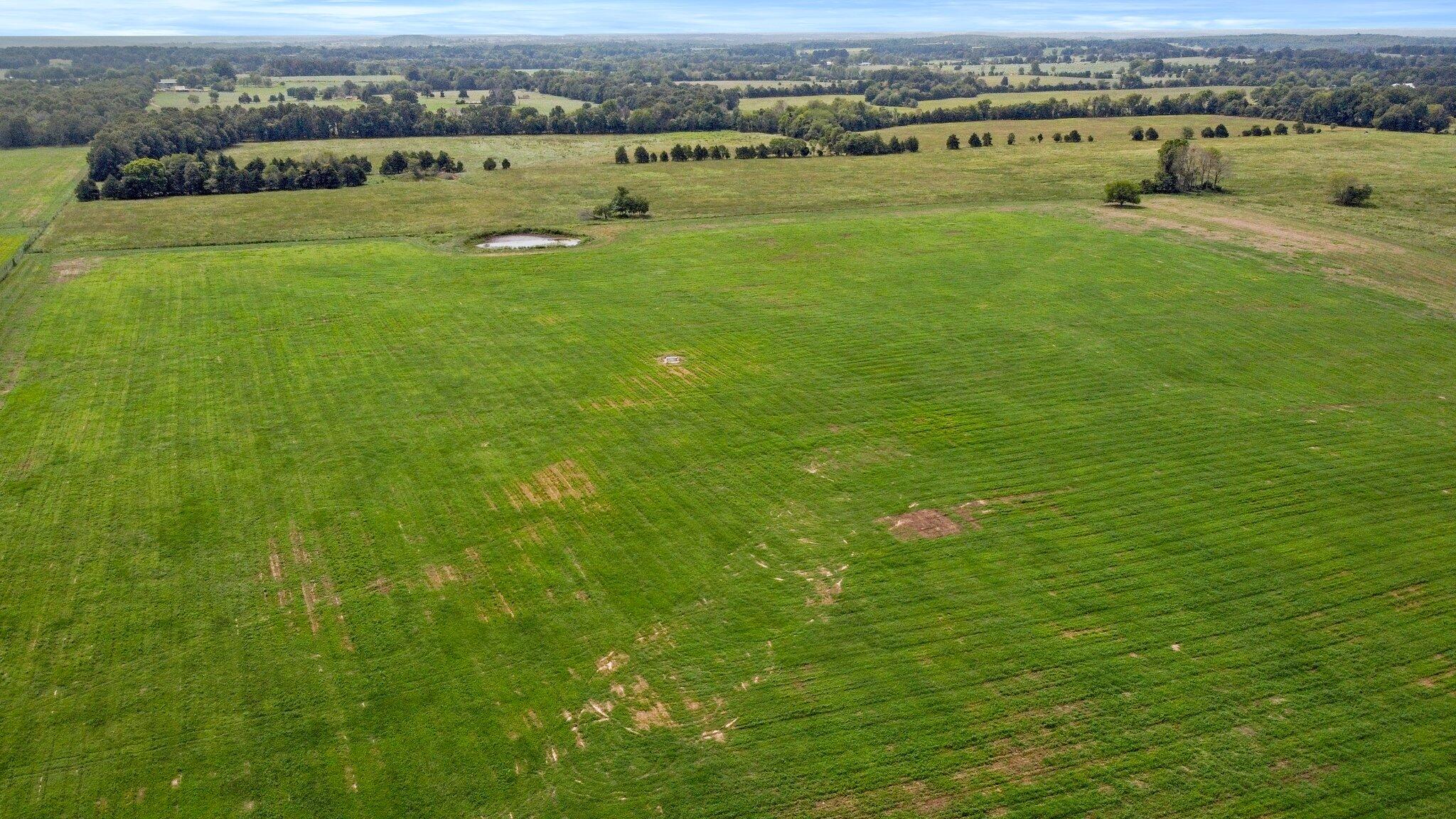 Photo 11 - Farm for sale – 000  State Highway Ff   Caulfield, MO