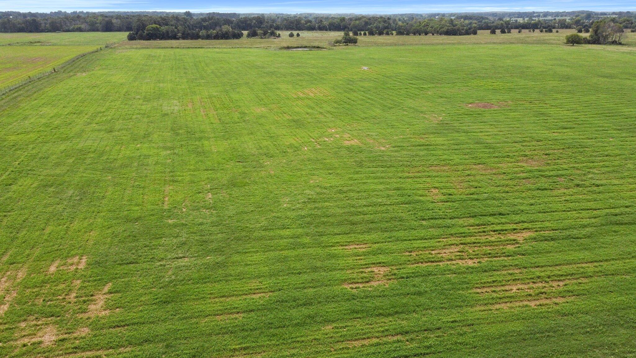 Photo 9 - Farm for sale – 000  State Highway Ff   Caulfield, MO