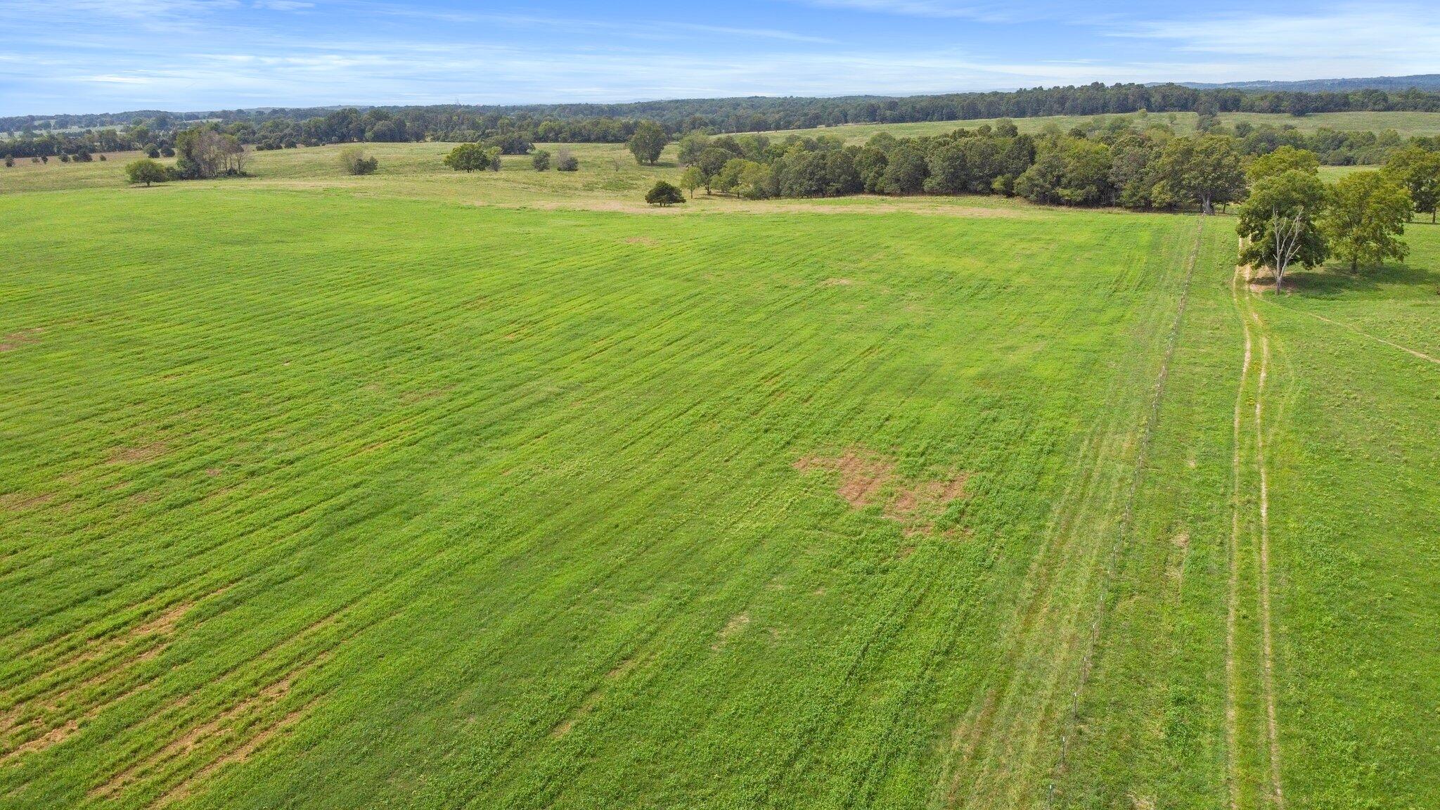 Photo 10 - Farm for sale – 000  State Highway Ff   Caulfield, MO