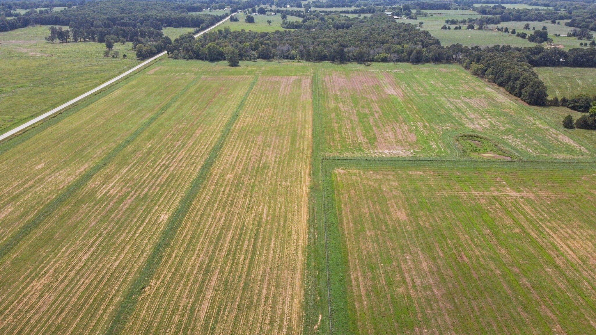 Photo 4 - Farm for sale – 000  State Highway Ff   Caulfield, MO