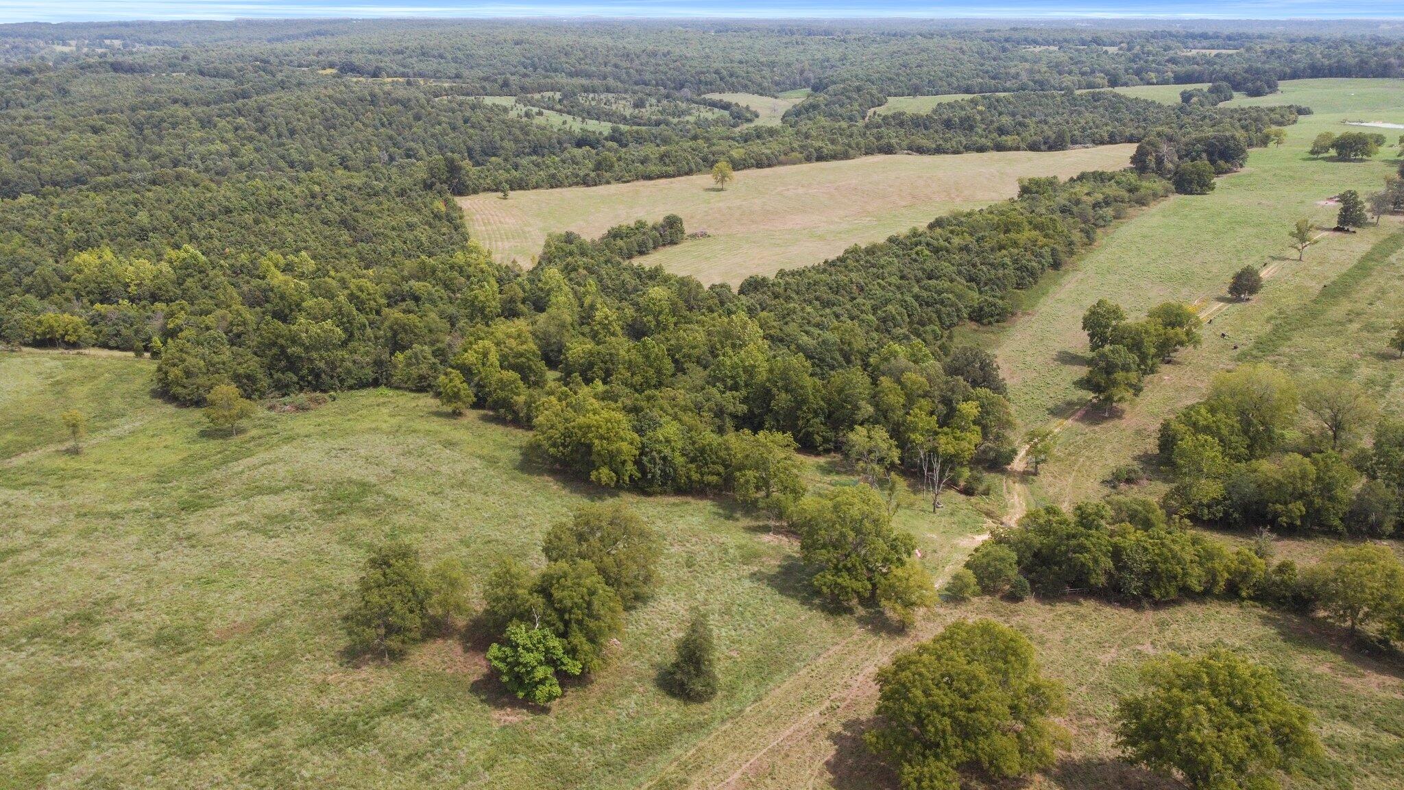 Photo 16 - Farm for sale – 000  State Highway Ff   Caulfield, MO