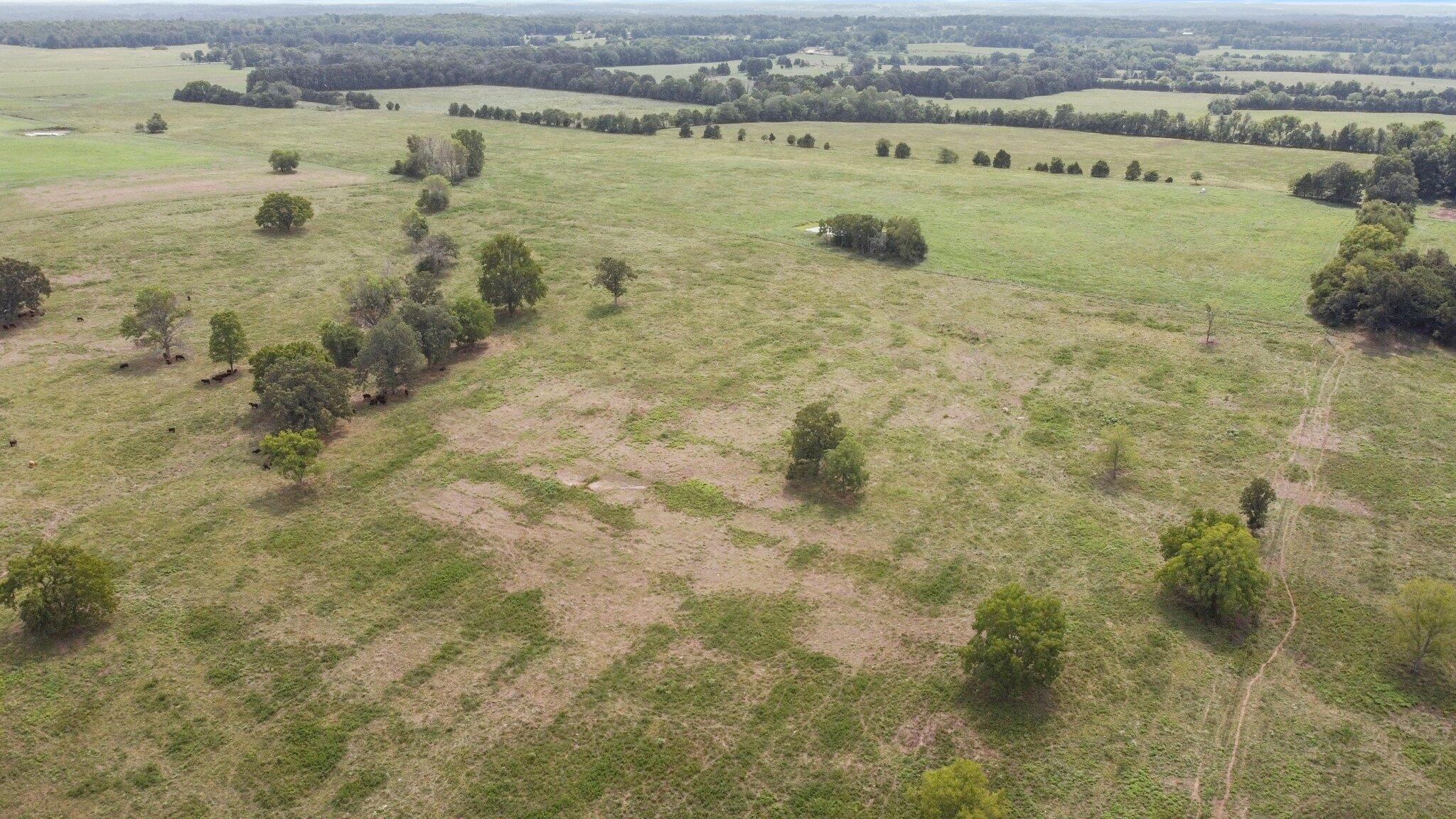 Photo 14 - Farm for sale – 000  State Highway Ff   Caulfield, MO