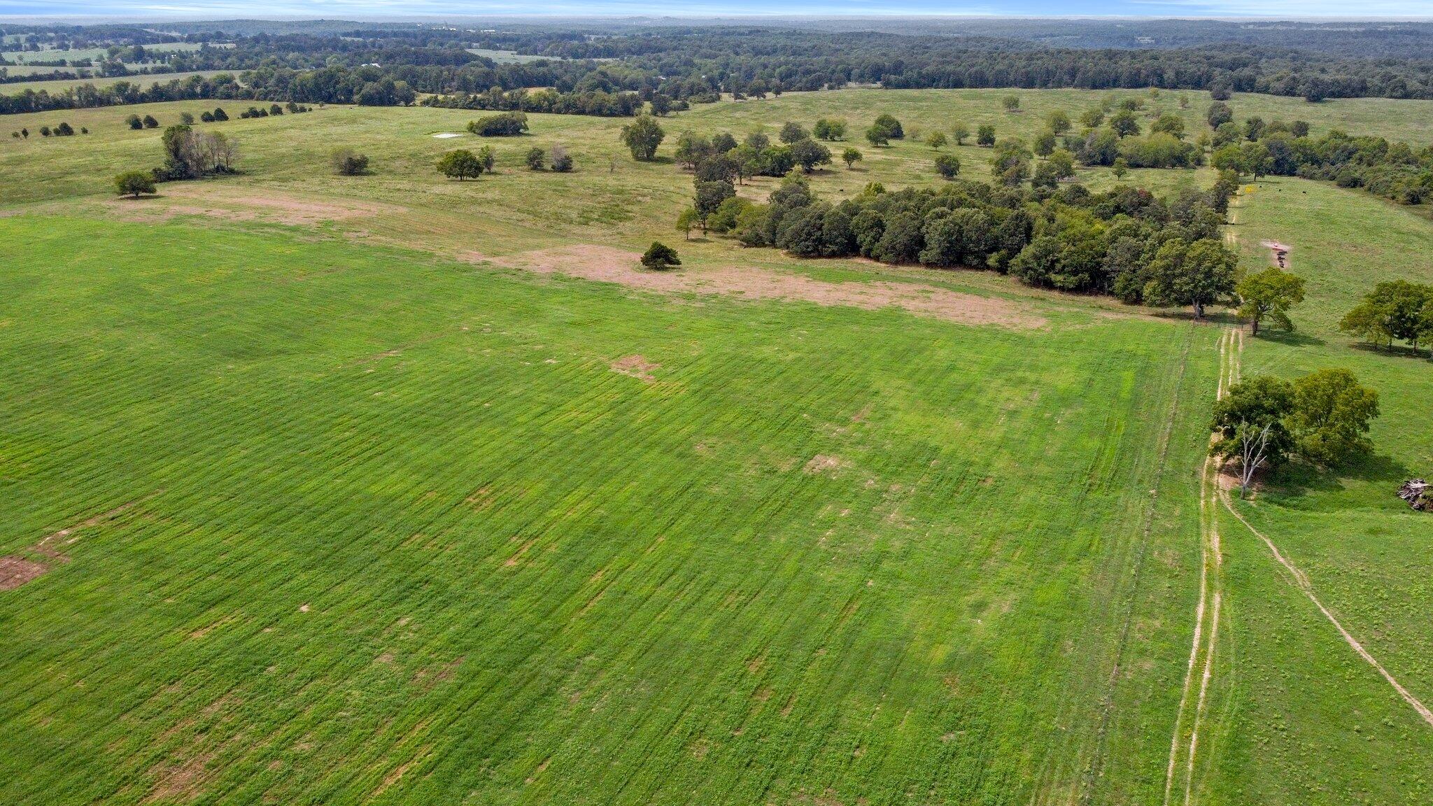 Photo 2 - Farm for sale – 000  State Highway Ff   Caulfield, MO