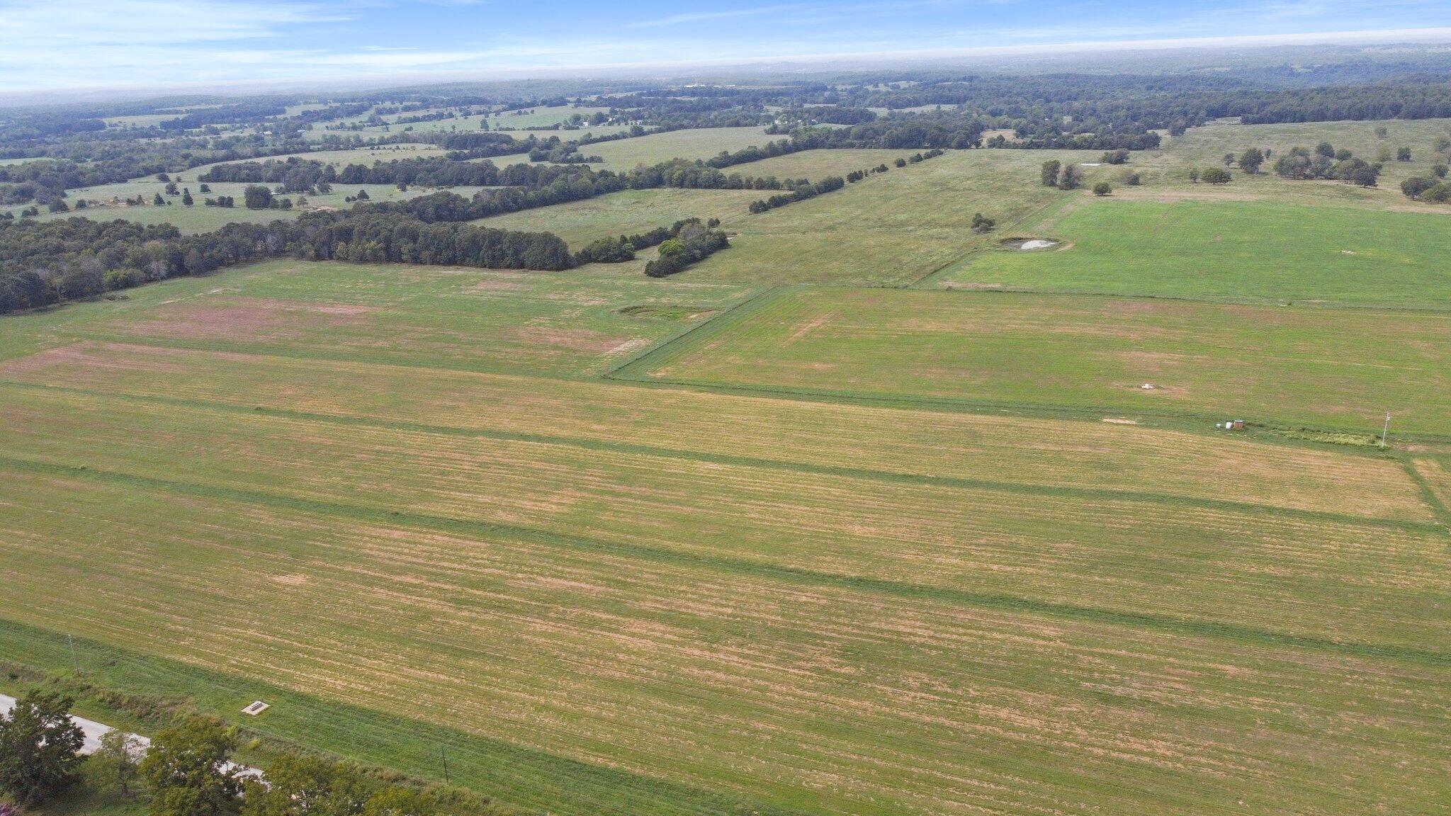 Farm for sale – 000 State Highway Ff Caulfield, MO