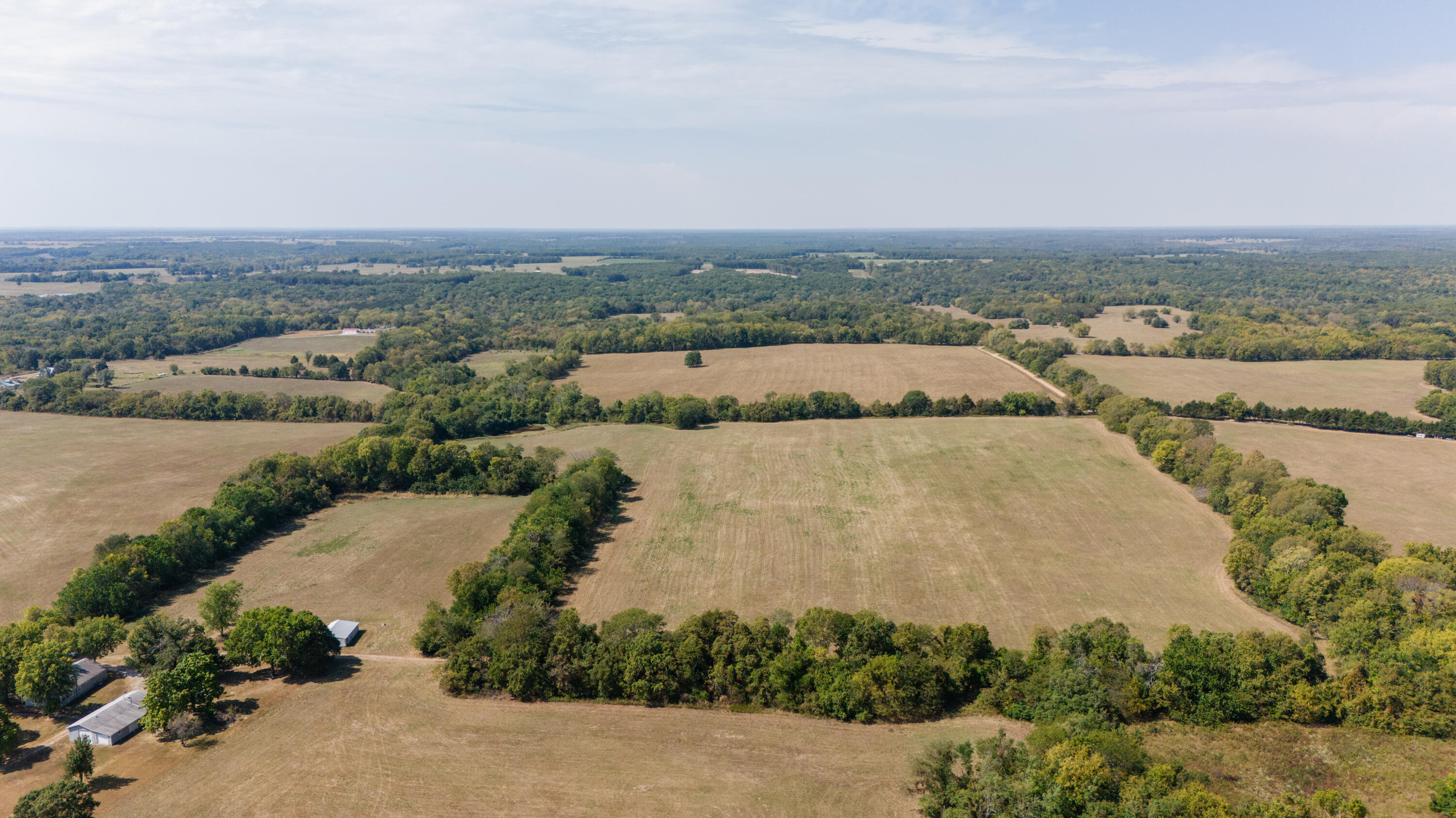 Photo 6 - Land for sale – 000  State Hwy B   Wheatland, MO