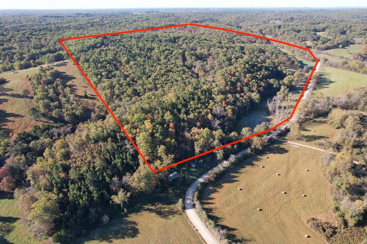 Farm/Ranch/Land for sale – 264  County Road 1130   Willow Springs, MO