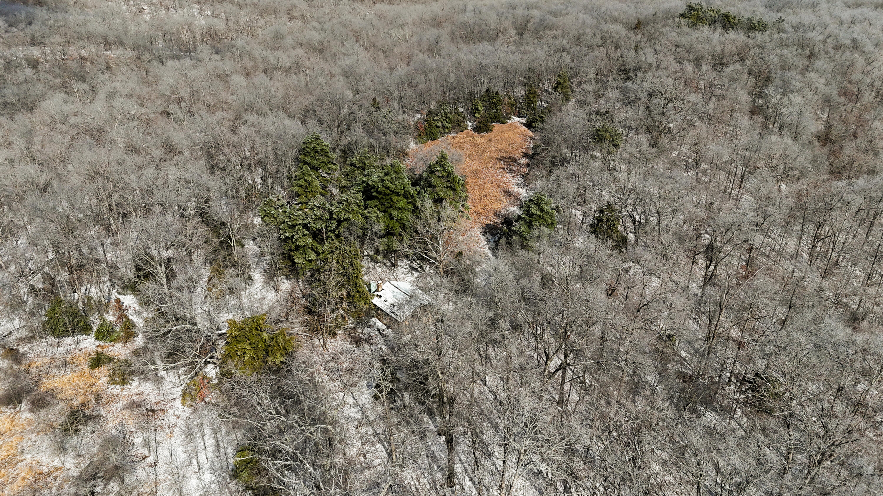 Photo 13 - Land for sale – 000  Stave Mill Road  Cabool, MO