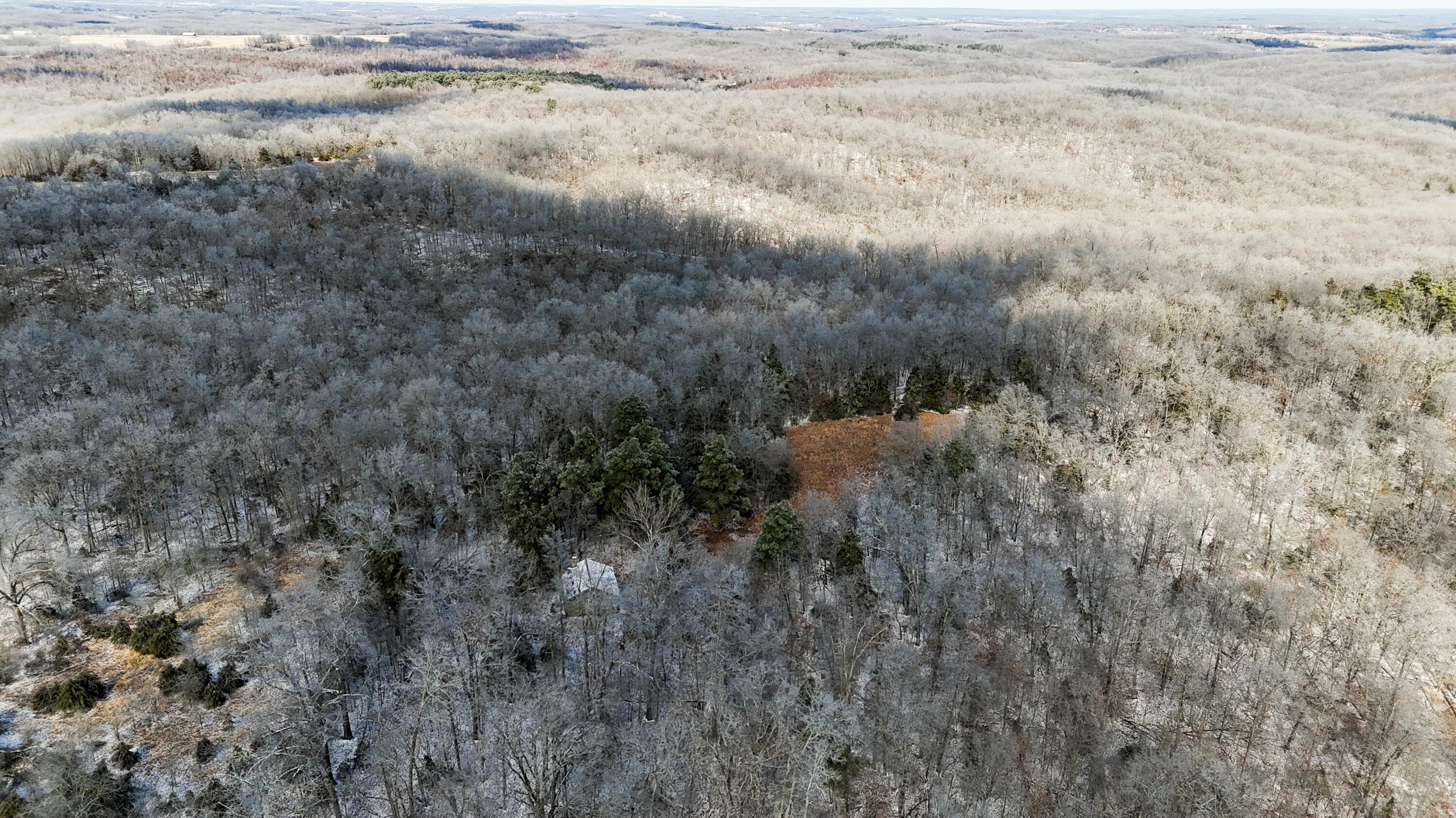 Photo 12 - Land for sale – 000  Stave Mill Road  Cabool, MO