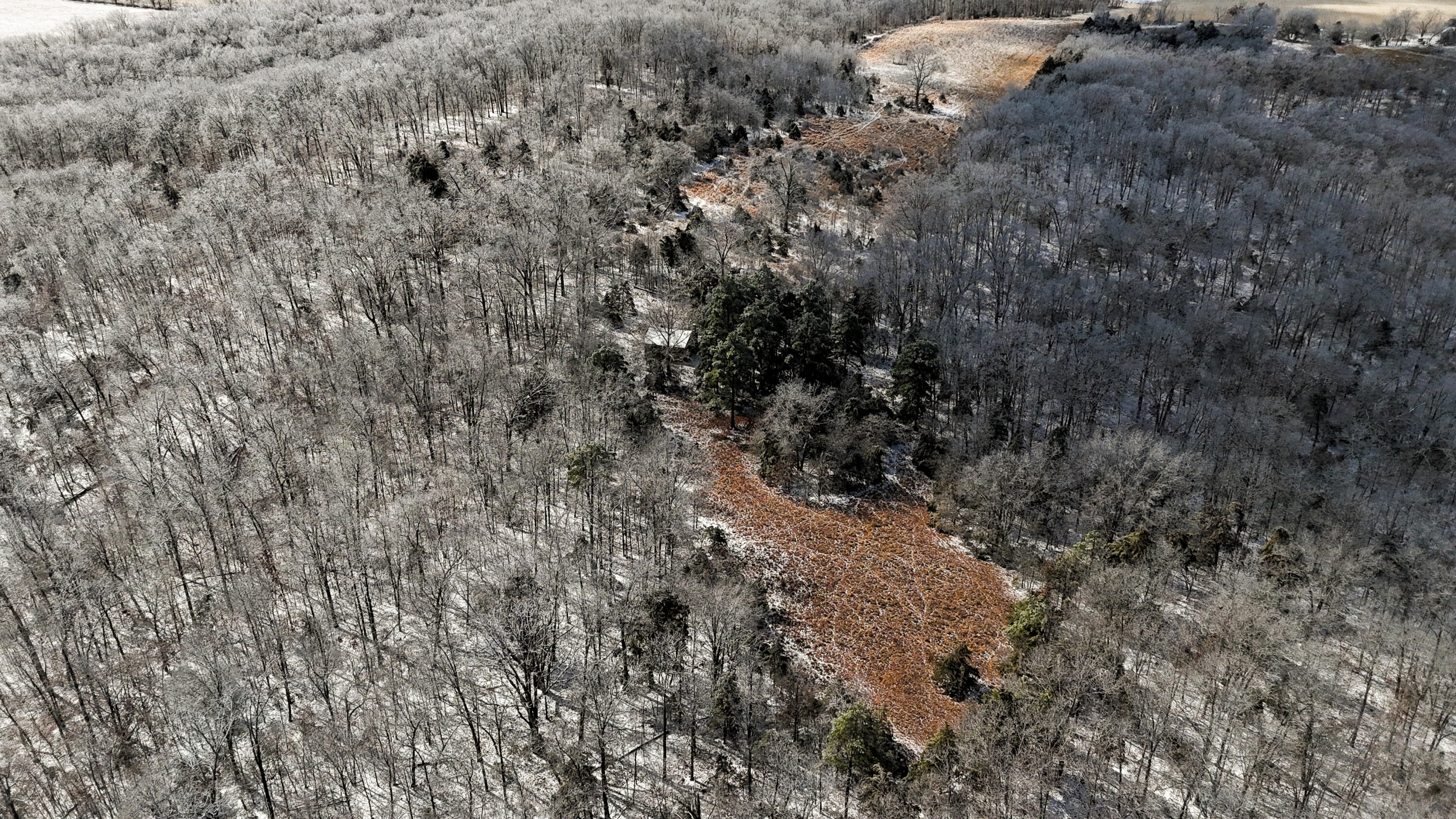 Photo 10 - Land for sale – 000  Stave Mill Road  Cabool, MO