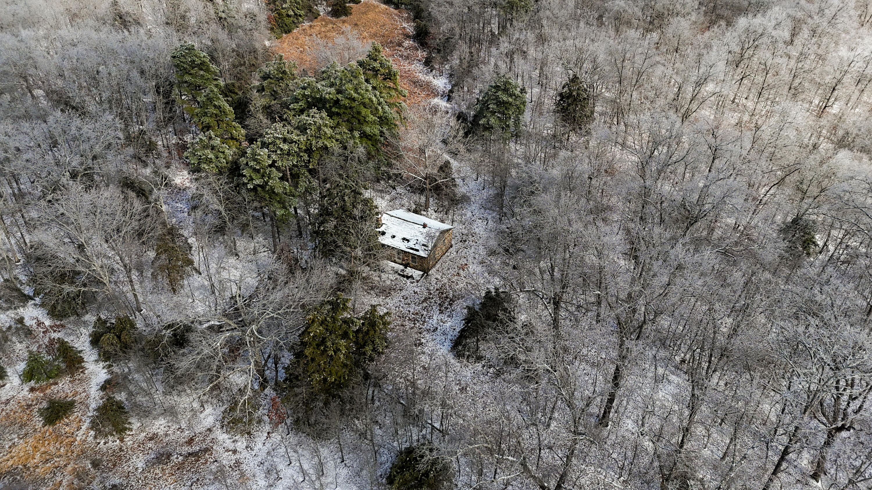 Photo 8 - Land for sale – 000  Stave Mill Road  Cabool, MO