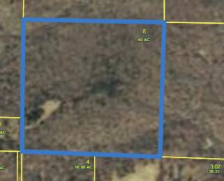 Photo 5 - Land for sale – 000  Stave Mill Road  Cabool, MO