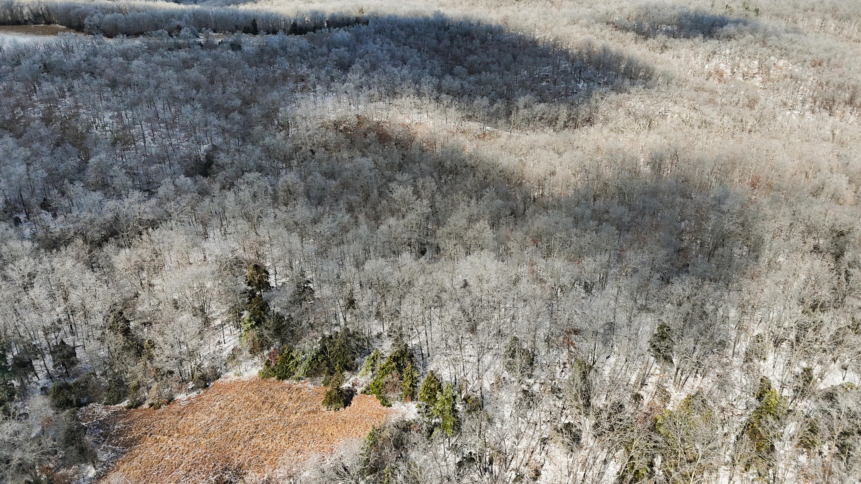 Photo 9 - Land for sale – 000  Stave Mill Road  Cabool, MO