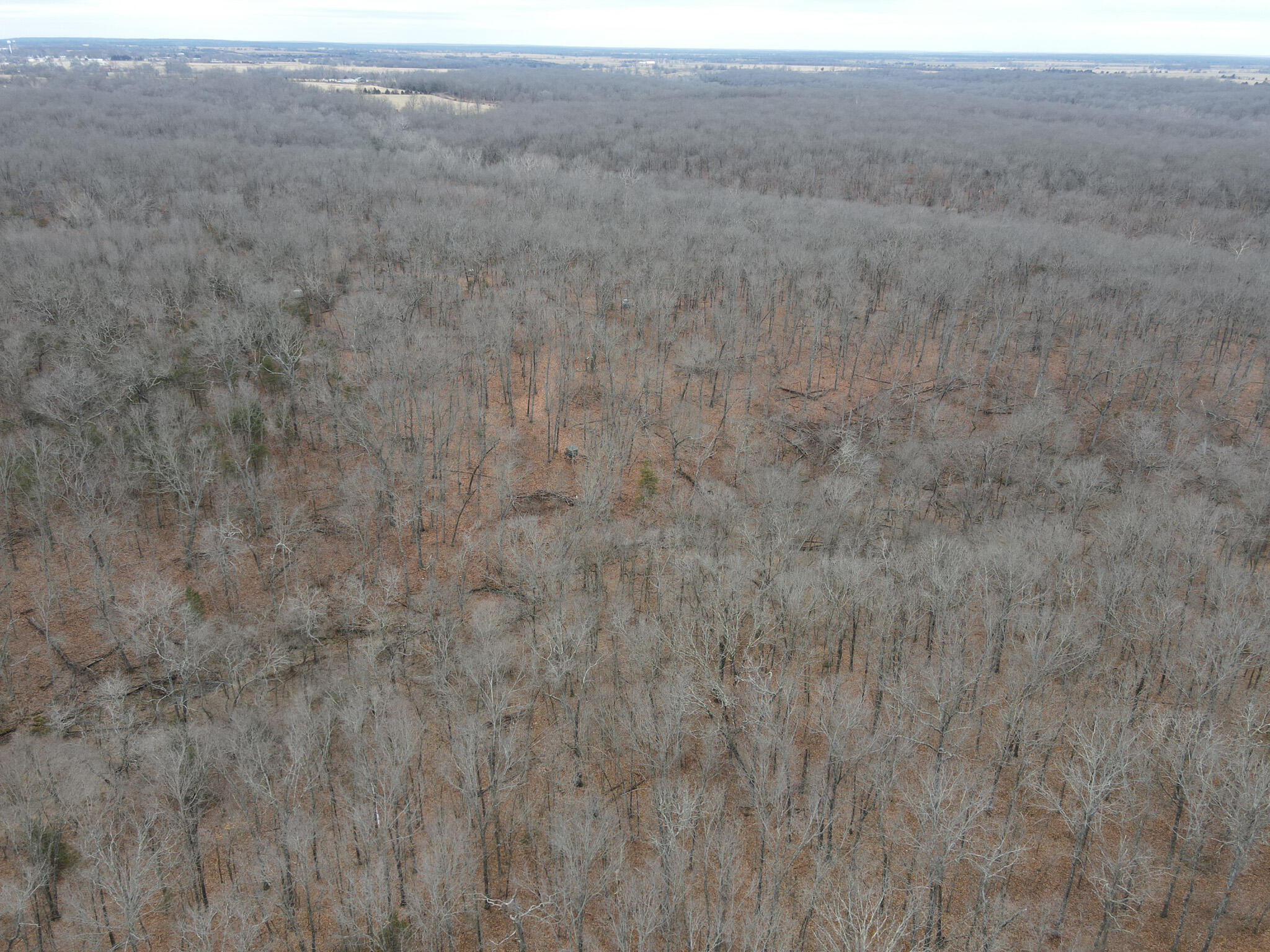 Farm/Ranch/Land for sale – 000  State Highway W   Wheatland, MO