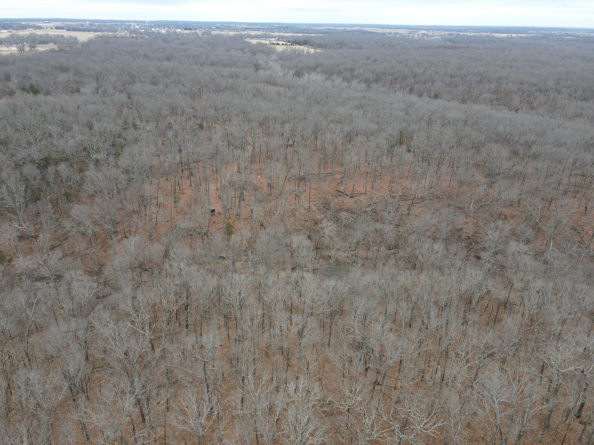 Farm/Ranch/Land for sale – 000  State Highway W   Wheatland, MO