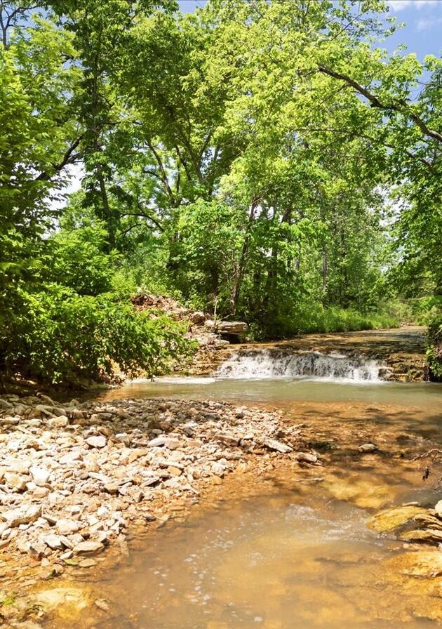 Photo 14 - Farm for sale – 000  Shelton Road   Willow Springs, MO