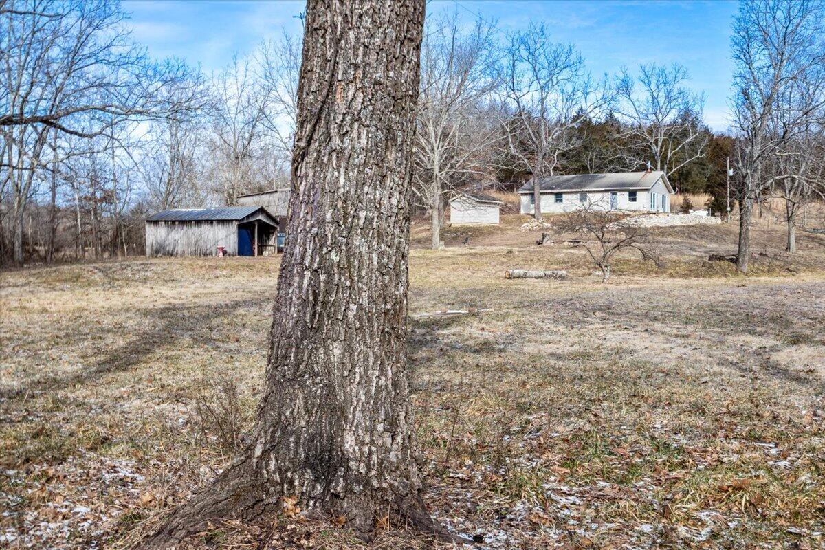 Photo 32 - Farm for sale – 000  Shelton Road   Willow Springs, MO