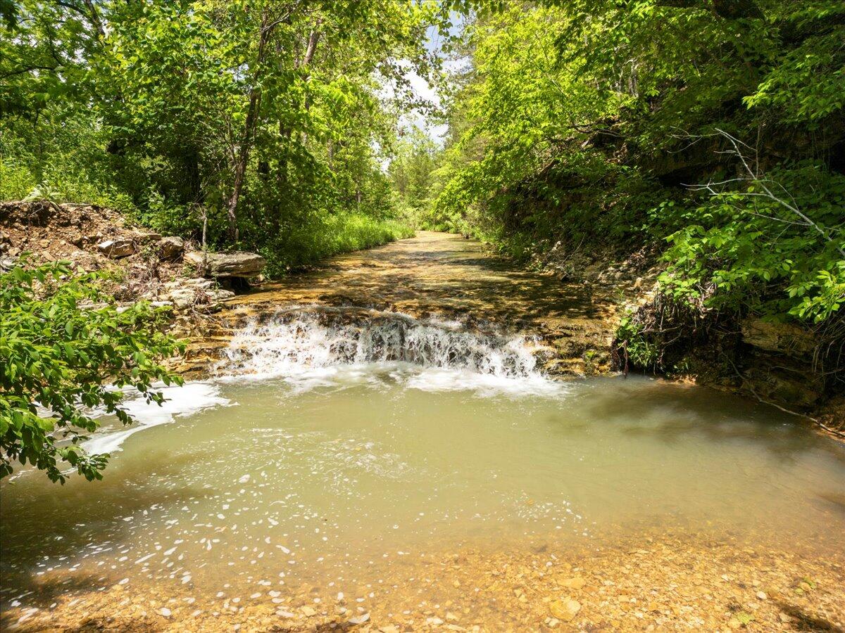 Photo 16 - Farm for sale – 000  Shelton Road   Willow Springs, MO