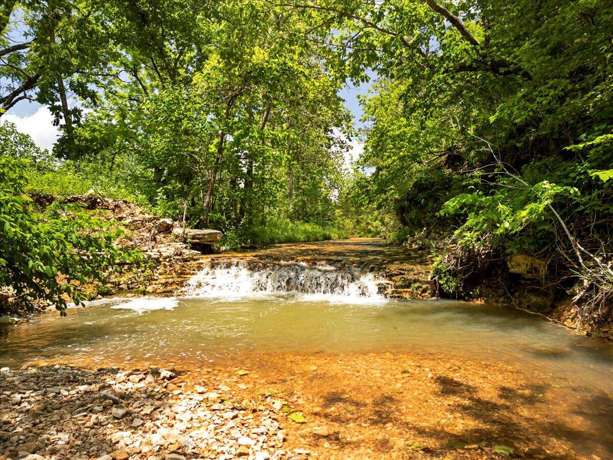 Photo 15 - Farm for sale – 000  Shelton Road   Willow Springs, MO