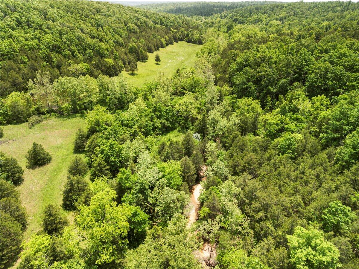 Photo 23 - Farm for sale – 000  Shelton Road   Willow Springs, MO